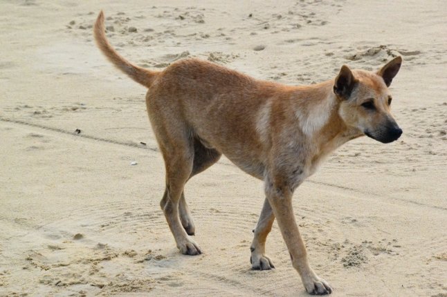 DSC_0314 (FILEminimizer)