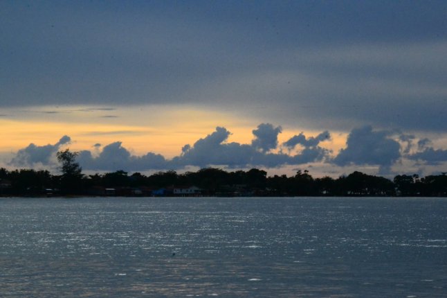 DSC_0317 (FILEminimizer)