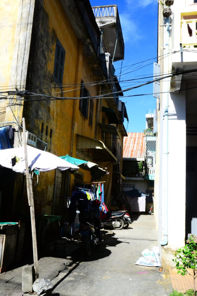 DSC_0337 (FILEminimizer)