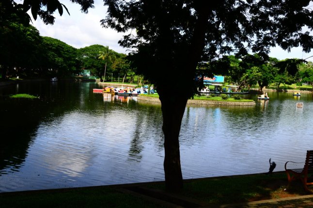 DSC_0337 (FILEminimizer)