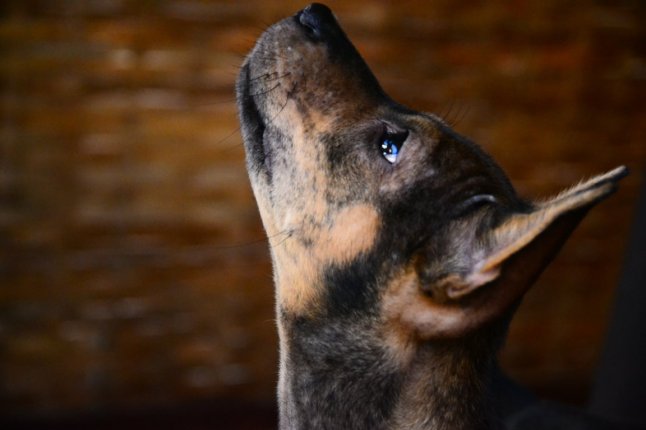 DSC_0349 (FILEminimizer)