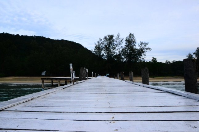 DSC_0365 (FILEminimizer)