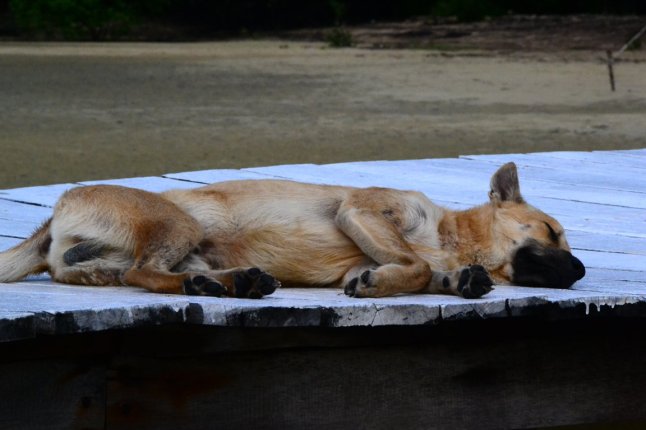 DSC_0369 (FILEminimizer)