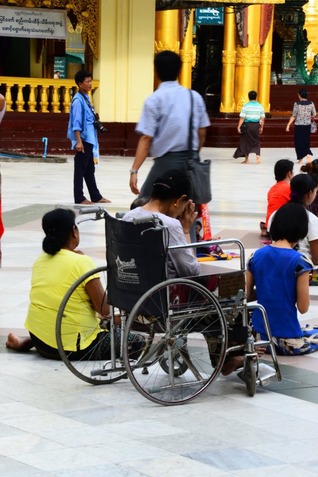 DSC_0374 (FILEminimizer)