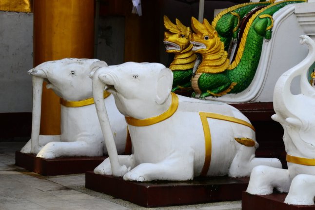 DSC_0389 (FILEminimizer)