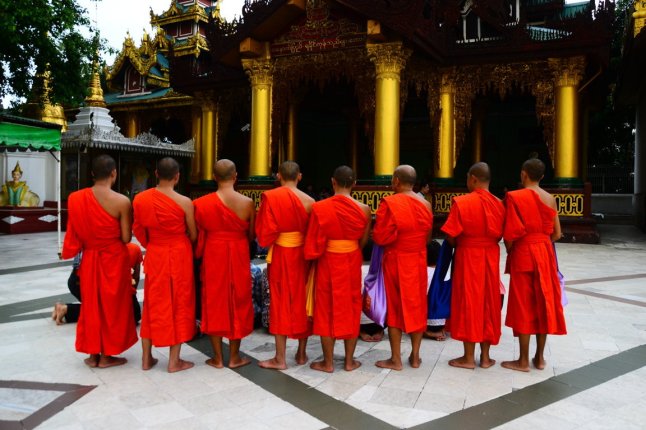 DSC_0427 (FILEminimizer)