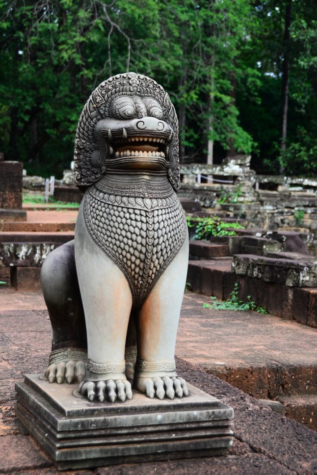 DSC_0456 (FILEminimizer)