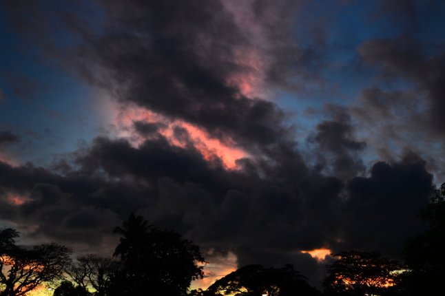 DSC_0476 (FILEminimizer)