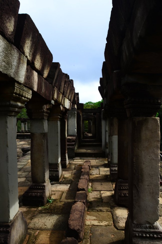 DSC_0481 (FILEminimizer)