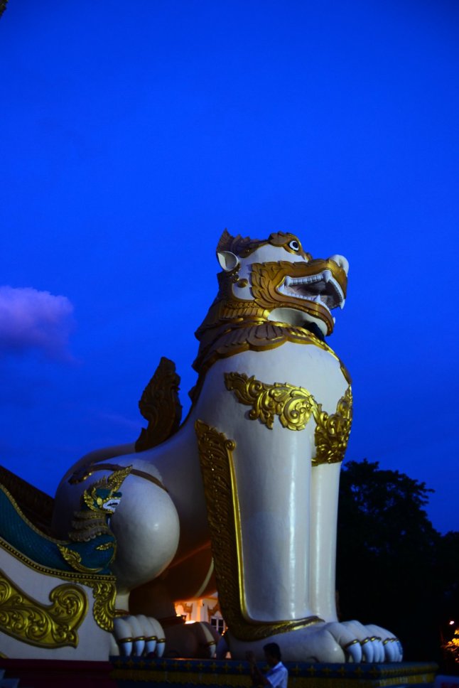 DSC_0482 (FILEminimizer)