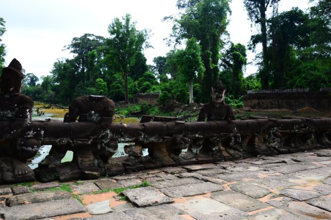 DSC_0505 (FILEminimizer)