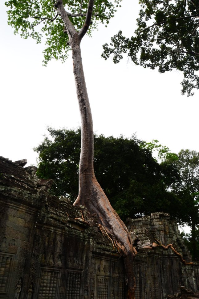 DSC_0517 (FILEminimizer)