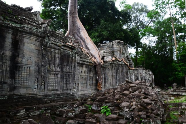 DSC_0518 (FILEminimizer)