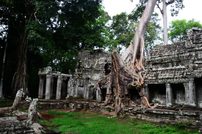 DSC_0519 (FILEminimizer)