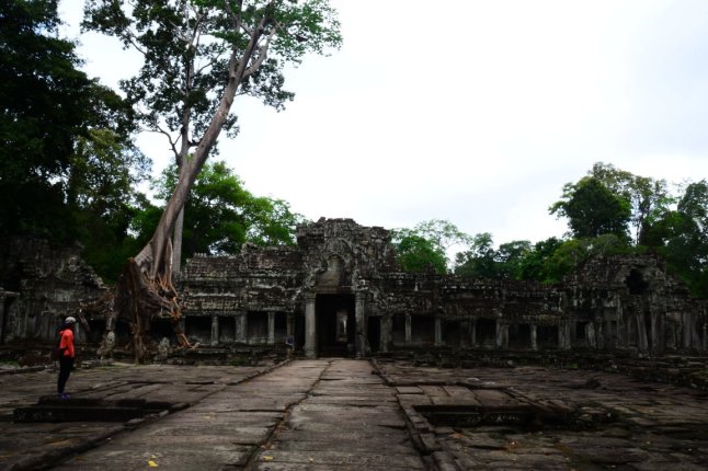 DSC_0527 (FILEminimizer)