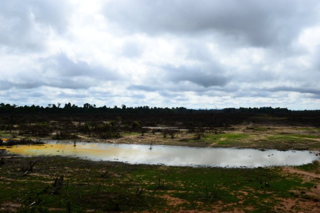 DSC_0529 (FILEminimizer)