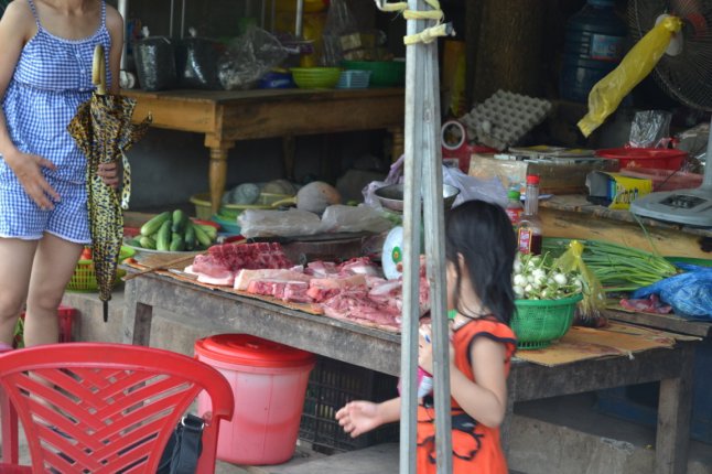 DSC_0874 (FILEminimizer)