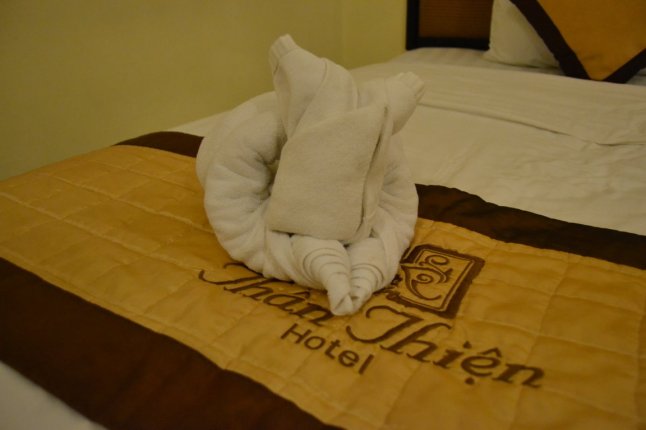 DSC_0880 (FILEminimizer)