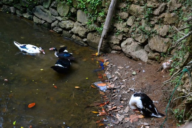 DSC_0976 (FILEminimizer)