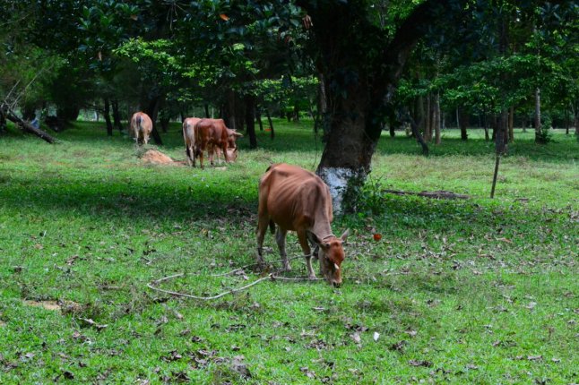 DSC_0986 (FILEminimizer)