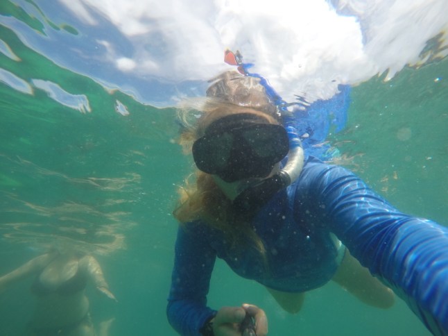 G0090131 (FILEminimizer)