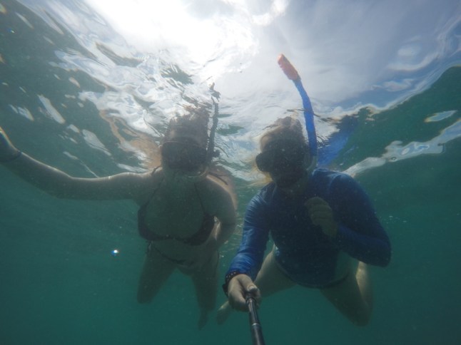 G0260409 (FILEminimizer)