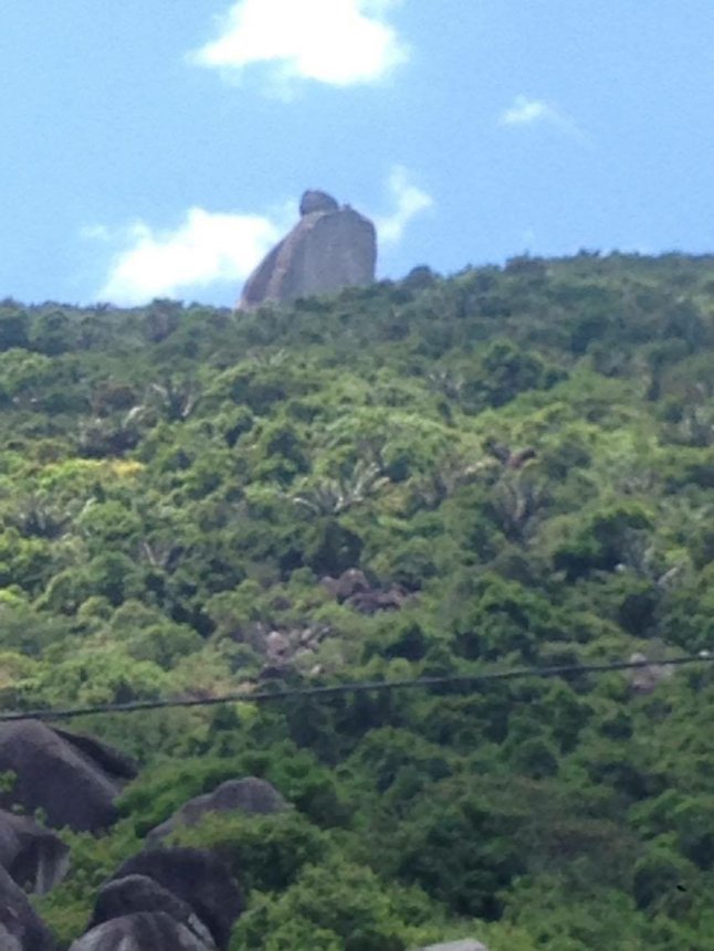 IMG_0541 (FILEminimizer)