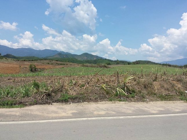 IMG_0586 (FILEminimizer)