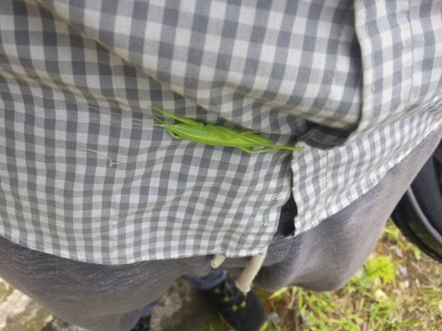 IMG_0589 (FILEminimizer)