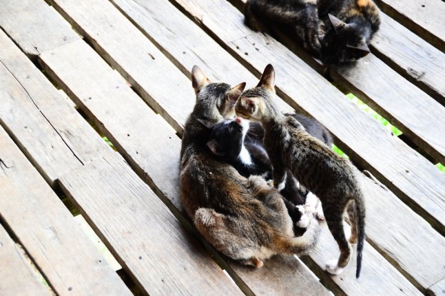 DSC_0012 (FILEminimizer)