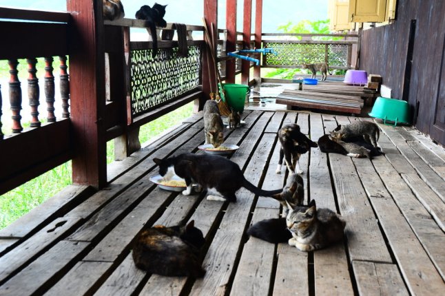 DSC_0013 (FILEminimizer)