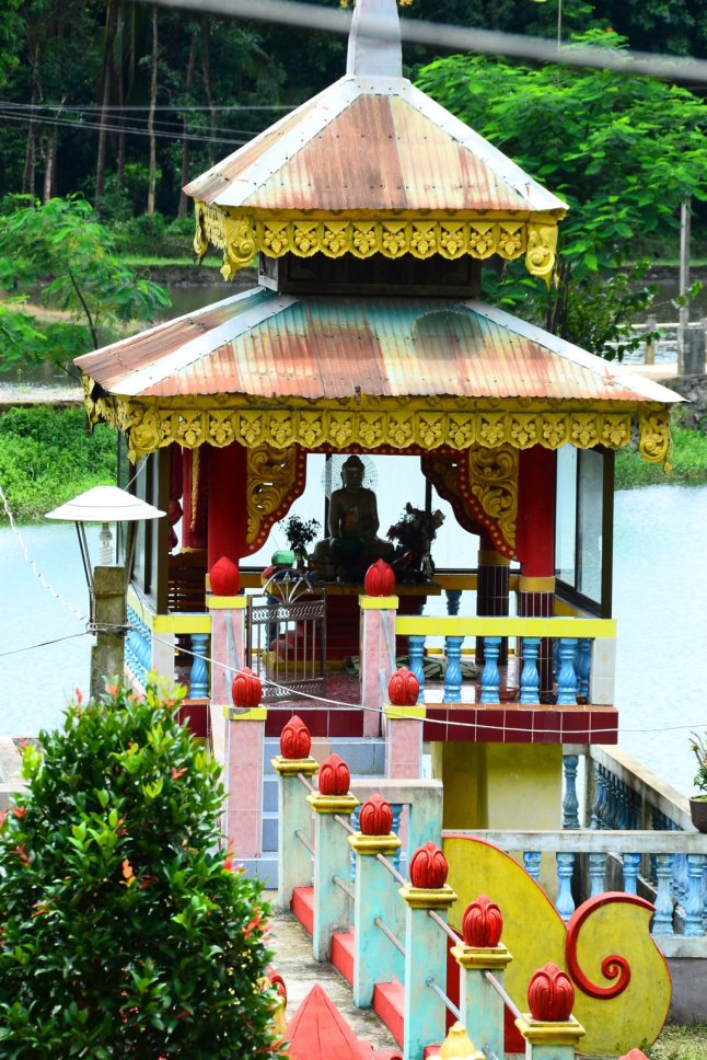 DSC_0133 (FILEminimizer)