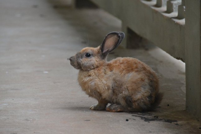 DSC_0142 (FILEminimizer)