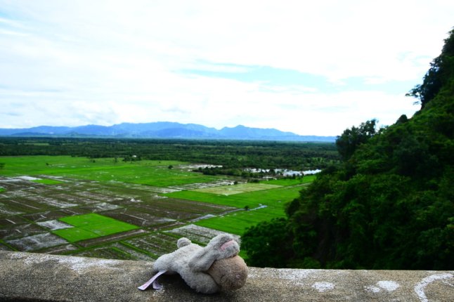 DSC_0169 (FILEminimizer)