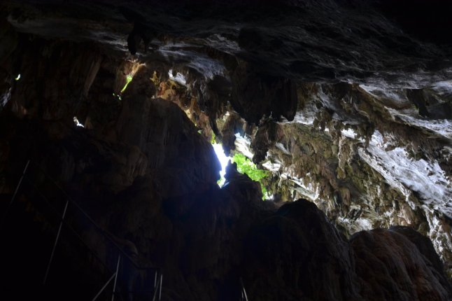 DSC_0219 (FILEminimizer)