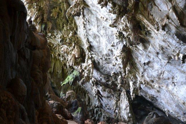 DSC_0220 (FILEminimizer)