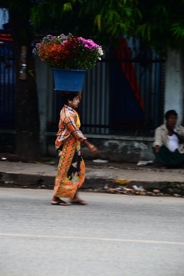 DSC_0235 (FILEminimizer)