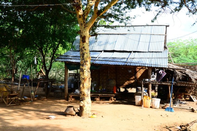 DSC_0282 (FILEminimizer)