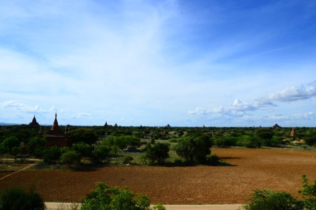 DSC_0290 (FILEminimizer)