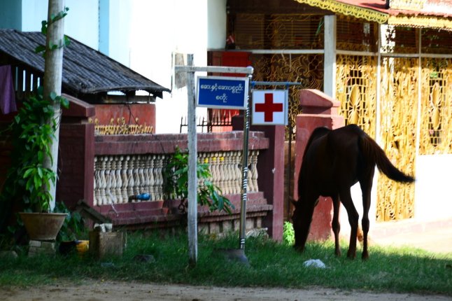 DSC_0306 (FILEminimizer)