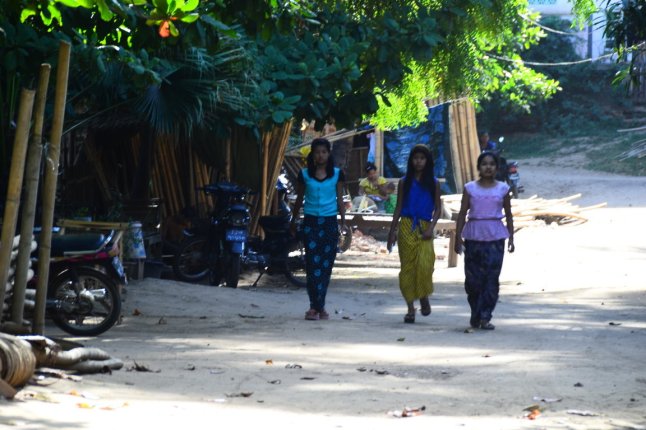 DSC_0309 (FILEminimizer)