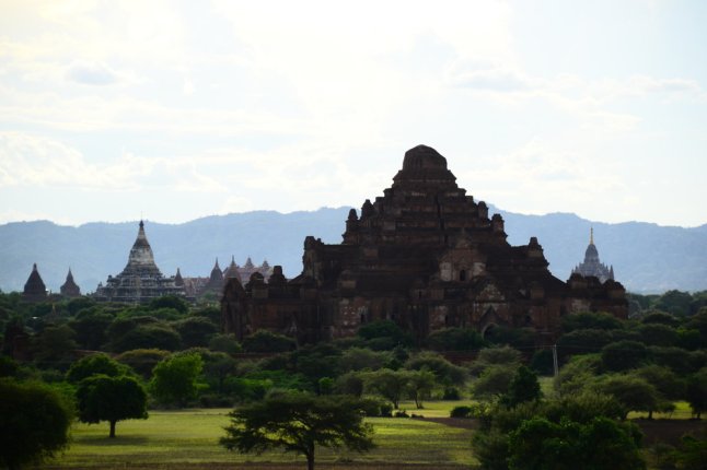 DSC_0339 (FILEminimizer)