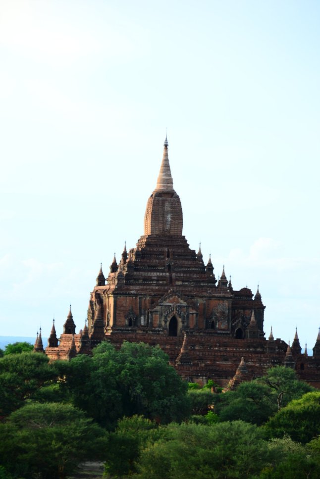 DSC_0351 (FILEminimizer)