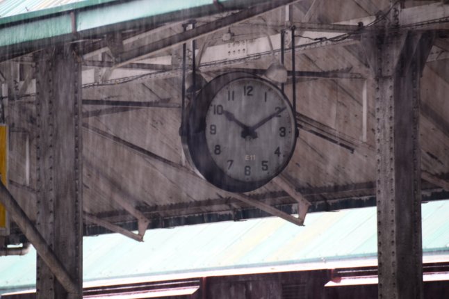 DSC_0513 (FILEminimizer)