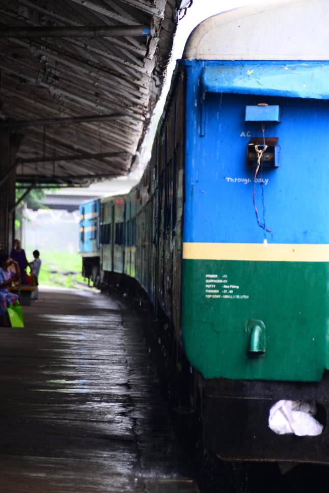 DSC_0536 (FILEminimizer)