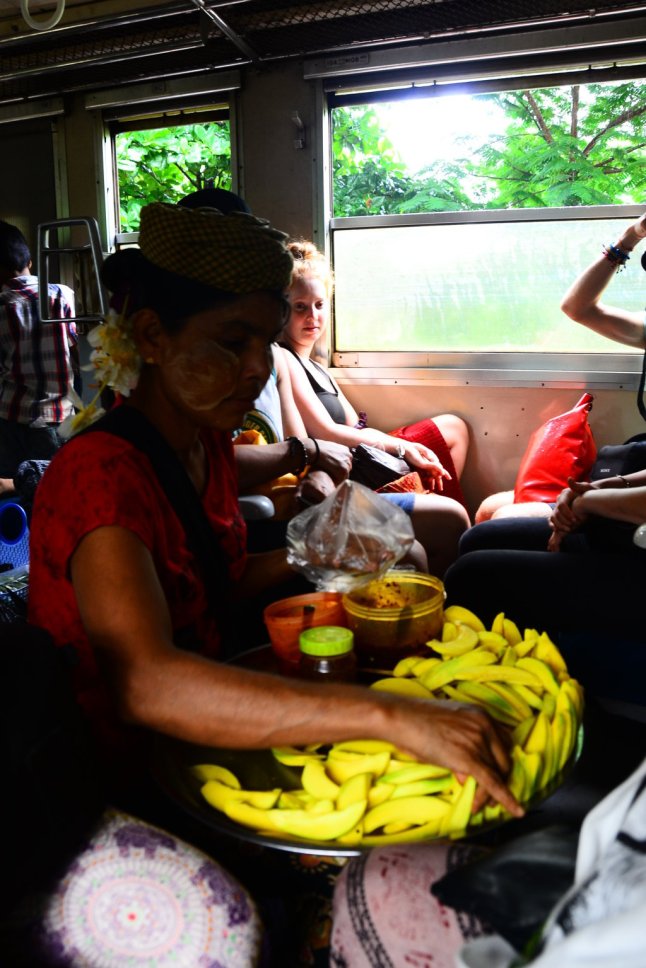 DSC_0545 (FILEminimizer)