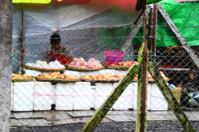 DSC_0559 (FILEminimizer)