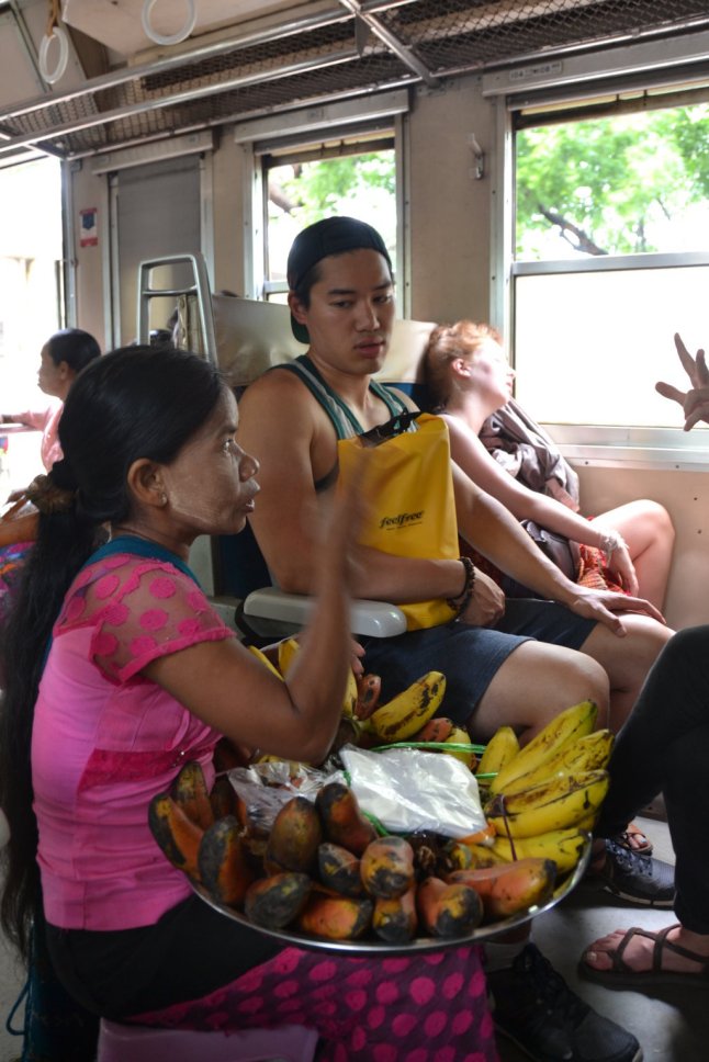 DSC_0588 (FILEminimizer)