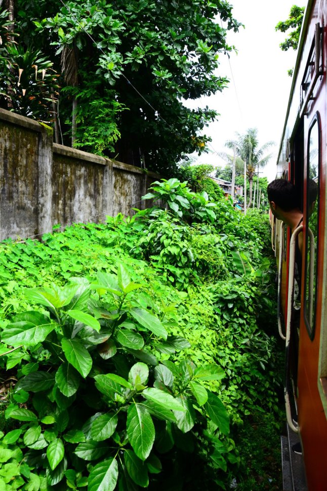 DSC_0595 (FILEminimizer)