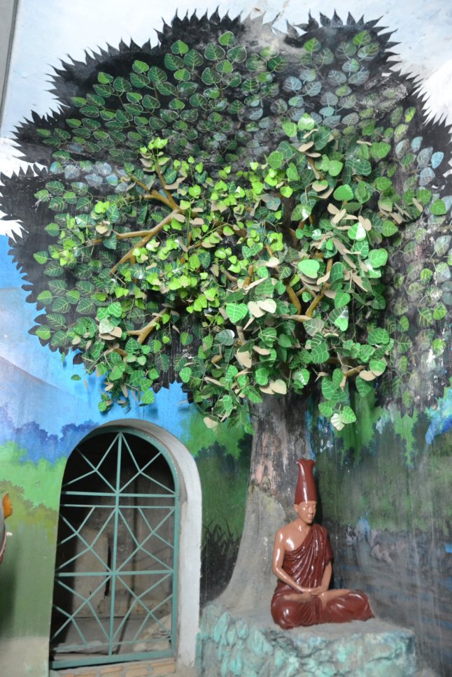 DSC_0651 (FILEminimizer)